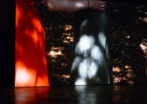 0912 Venice Wales Helen Sear (2)