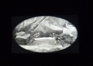 0912 Venice Wales Helen Sear (4)