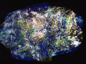 0912 Venice Wales Helen Sear (5)