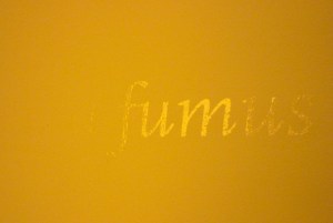 0912 Venice Wales Helen Sear (8)