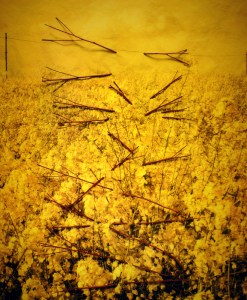 0912 Venice Wales Helen Sear (9)