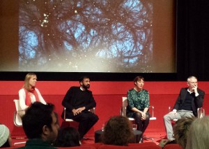 1512 darkened by light (2)