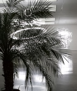 1601 Cerith Wyn Evans (7)