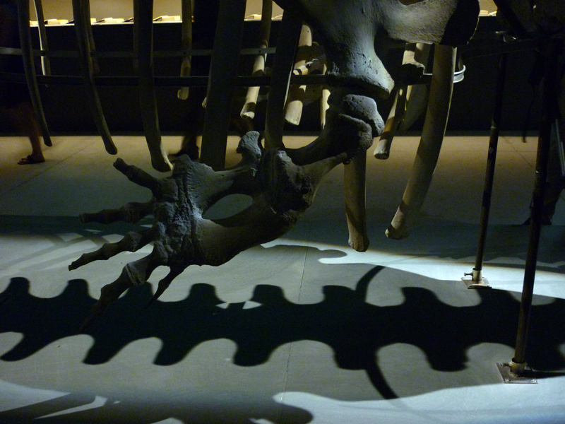 1601 Venice Albania (1)