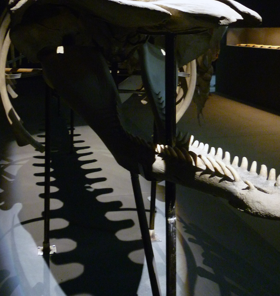 1601 Venice Albania (2)