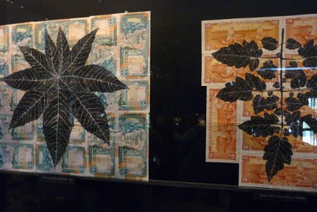 1601 Venice Australia Fiona Hall (3)