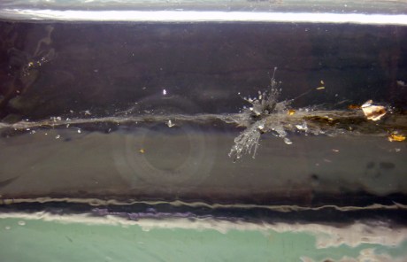 1601 Venice The Propeller Group (1)