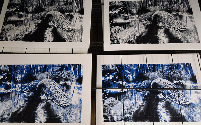 1602 Induction Day Prints 1.jpg