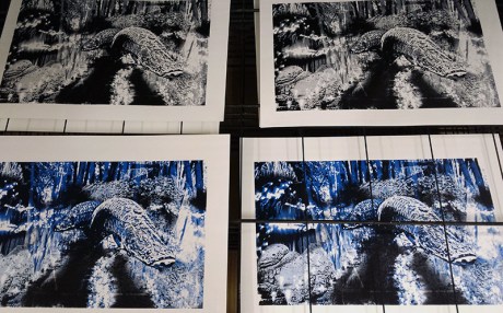 1602 Induction Day Prints 1.jpg