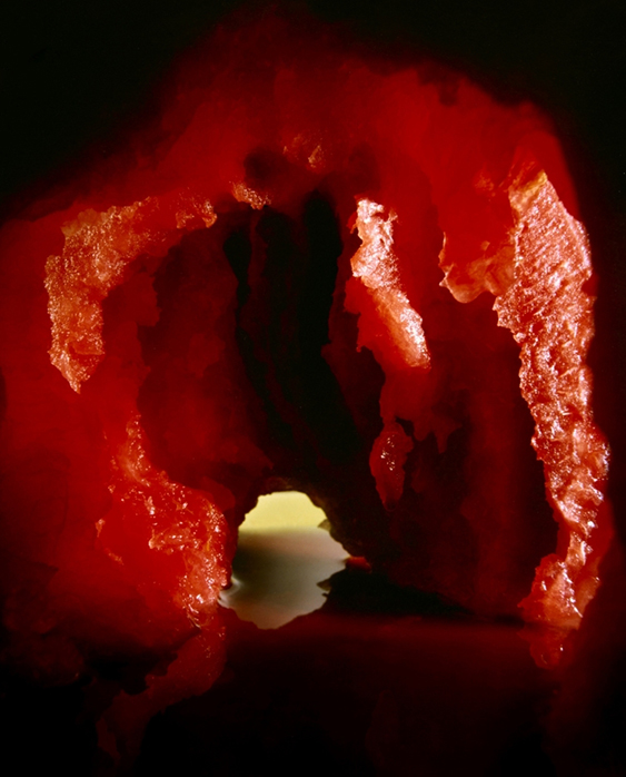 1602 Nadege Meriau Grotto