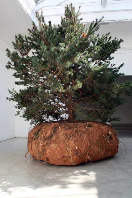 1601 Venice France Celeste Boursier-Mougenot (2).jpg