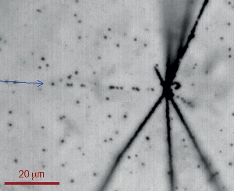 1603 anti proton imaging.jpg