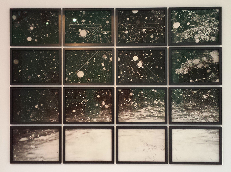 1604 Stine Nielsen Ljungdalh -Charlotte Bergson