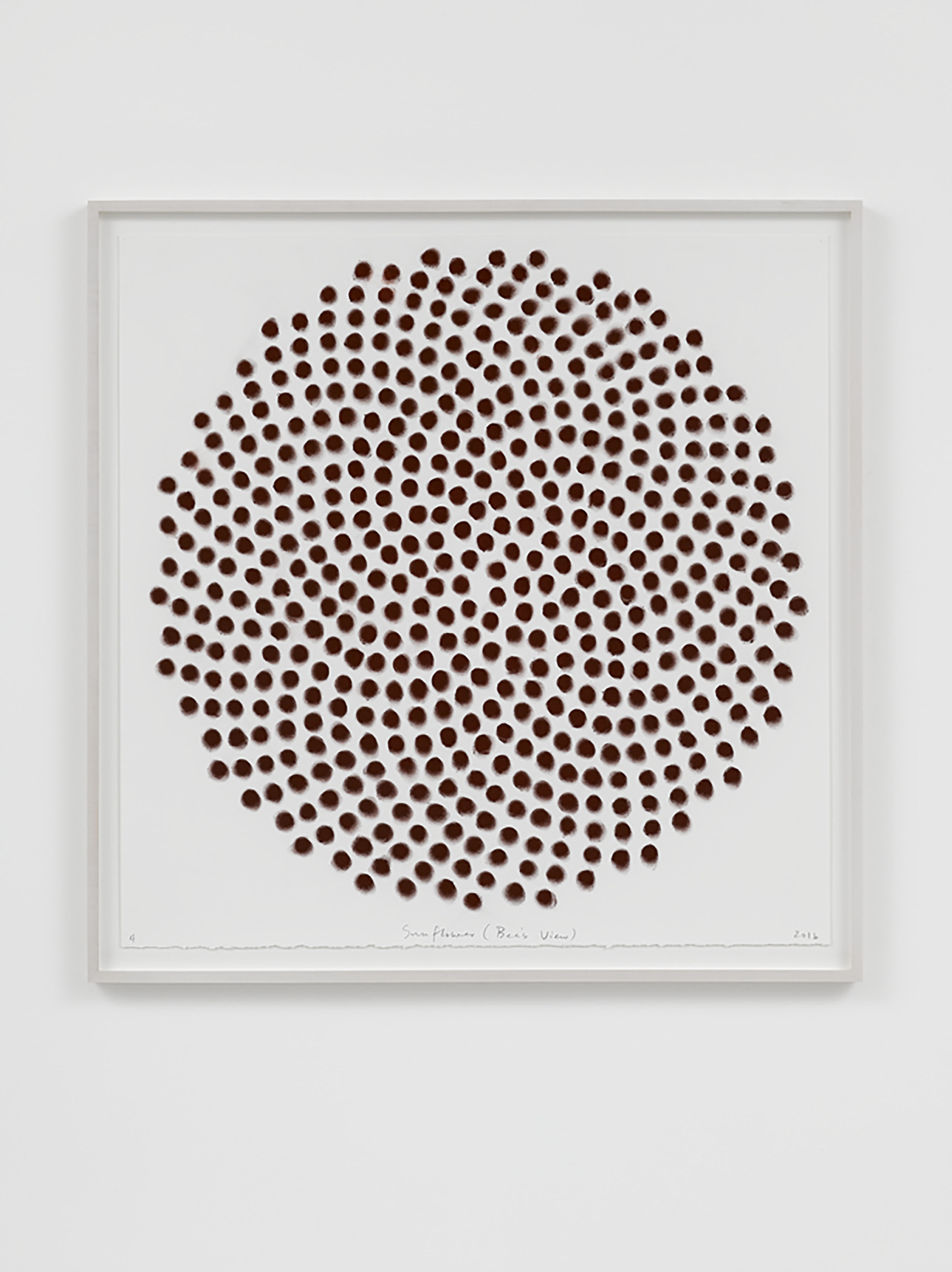 1605 Spencer Finch Sunflower