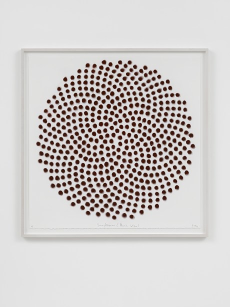 1605 Spencer Finch Sunflower