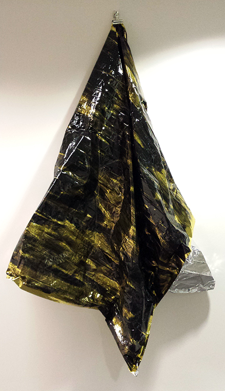 1607 Chud Clowes Starling wing