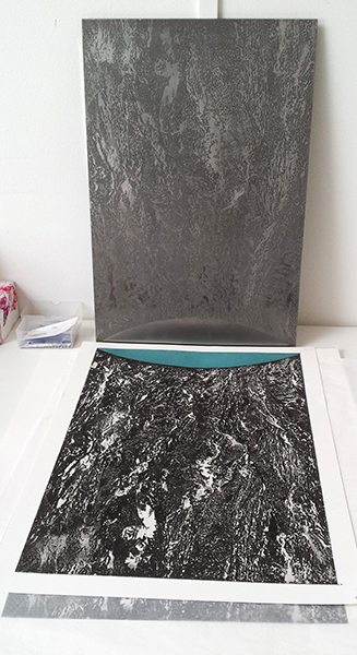 1607 intertidal plate