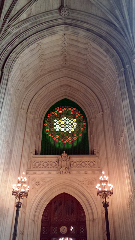 1607 Mary Branson New Dawn (2)