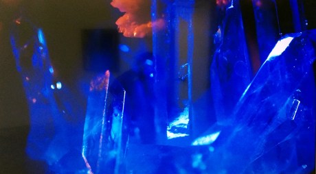 1607 Mayra Ganzinotti 3