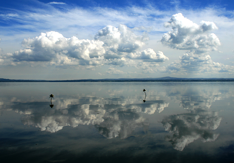 1609-churchtown-point