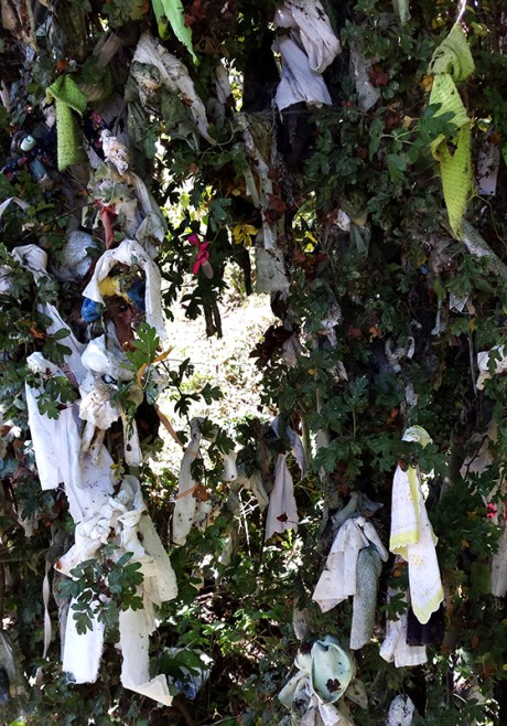 1609-cranfield-holy-well