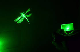 1609-dragonfly-hologram