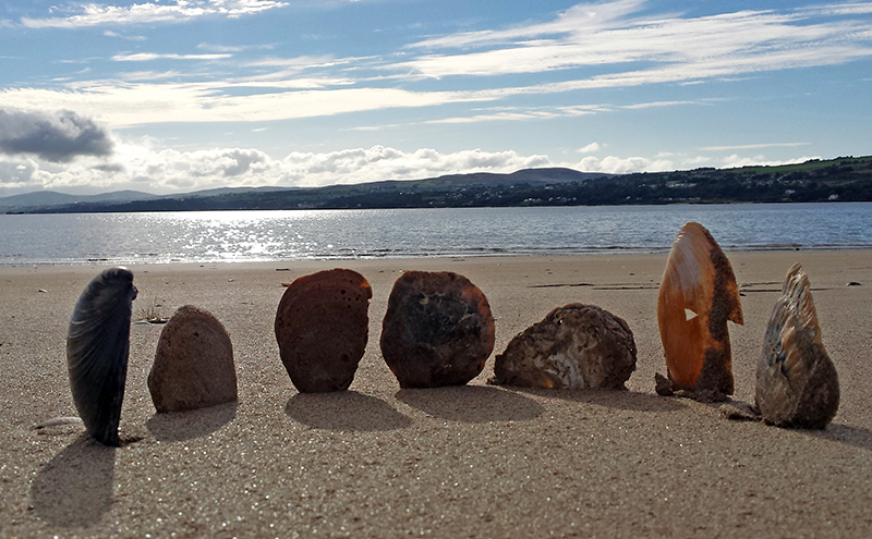 1609-magilligan-point