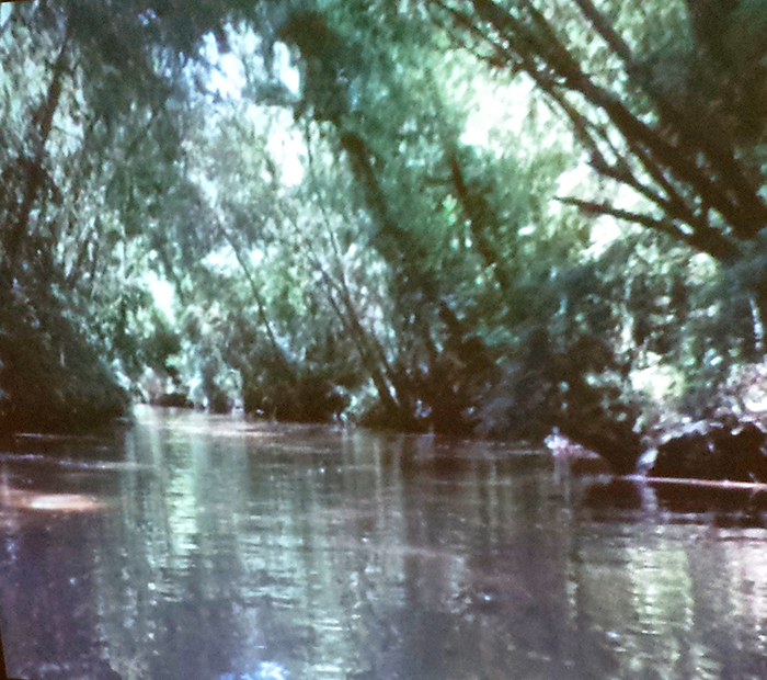 160908-victoria-ahrens-2