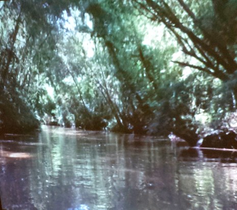 160908-victoria-ahrens-2