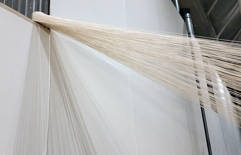 1610-elizabeth-murton-4