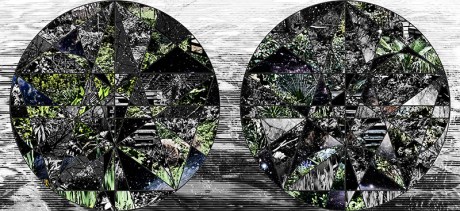 1610 reflect dodecahedron.jpg