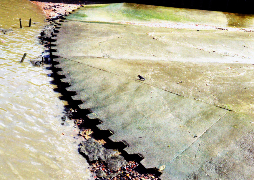 1611 Anne Krinsky 2.jpg