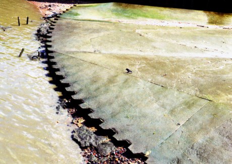 1611 Anne Krinsky 2.jpg