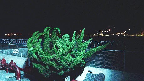 1611-cyprien-gaillard-still-from-nightlife