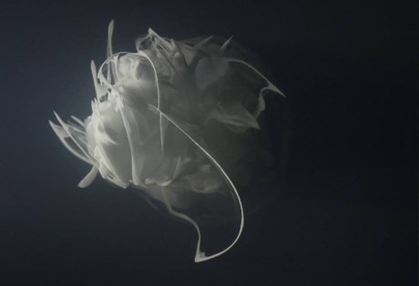 1612-solveig-settemsdal