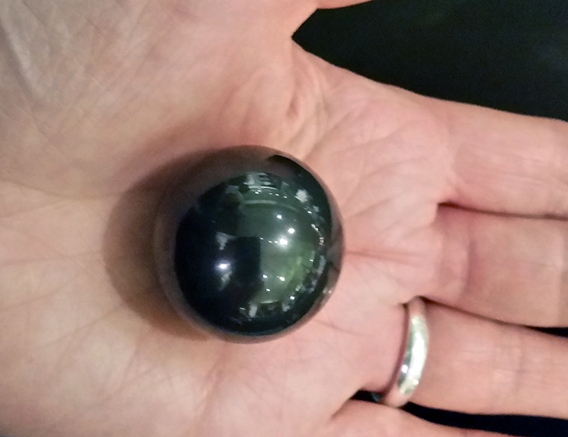 1612 Wellcome Trust debate materials.jpg