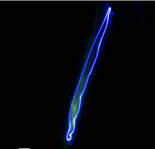 1701 Melanie King.PNG