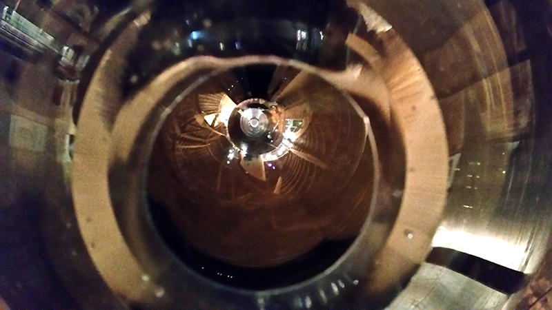 1702 Anna Gray 2.jpg