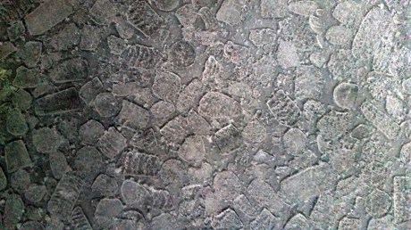 1704 dry ice remains.jpg