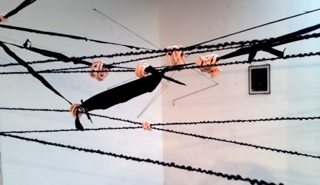 1704 Elizabeth Murton testing