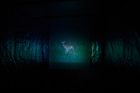 1704 Kate Fahey by Sara Lynd (1)