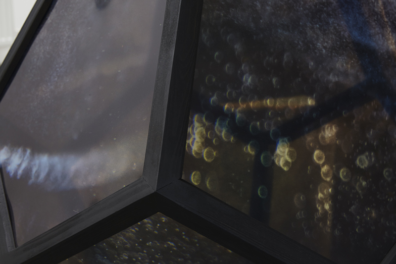 1706 Susan Eyre Diazographo photo Sara Lynd