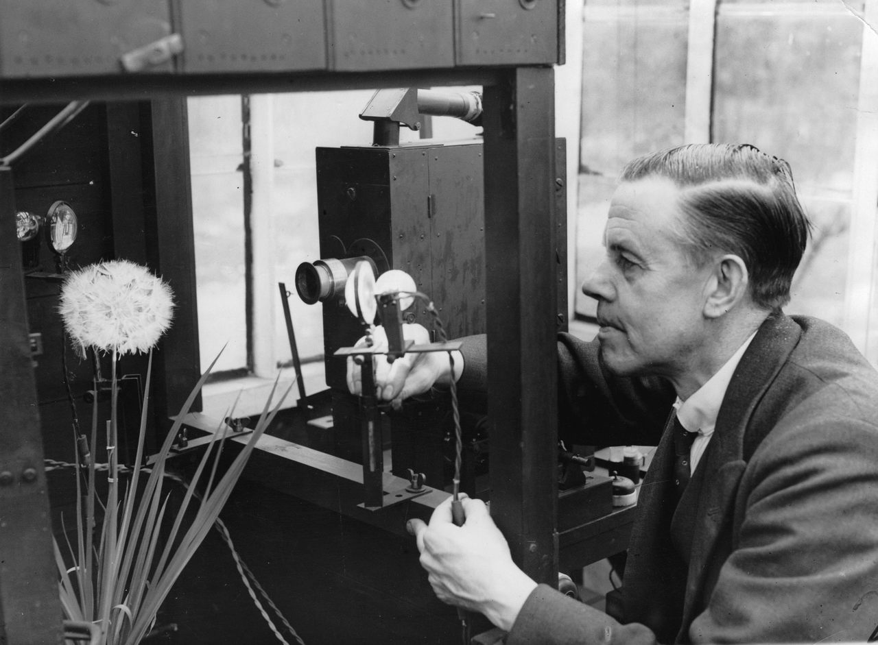 In his house in Southgate, the ex-goverment clerk Percy Smith films the life stories of hundreds of rare plants