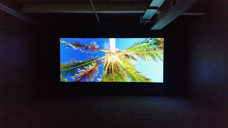 1711 Rodney Graham Vexation Island