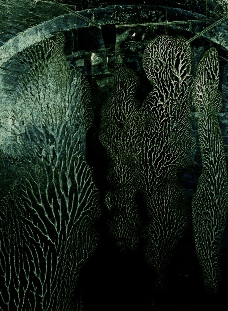 1711 Sam Hodge Vibrant Matter 1.jpg