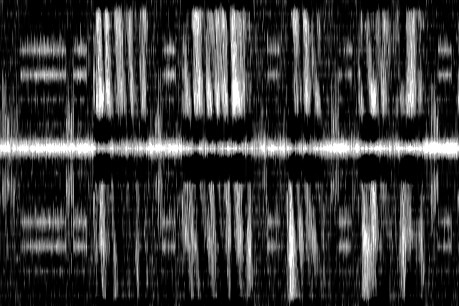 1711 Lewis Bush spectrum-3-HM01