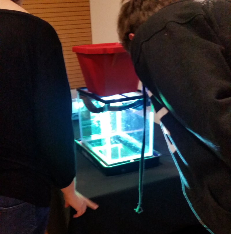 1712 CSM imagining CERN cloud chamber