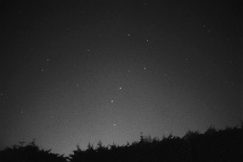 1801 Melanie King.jpg