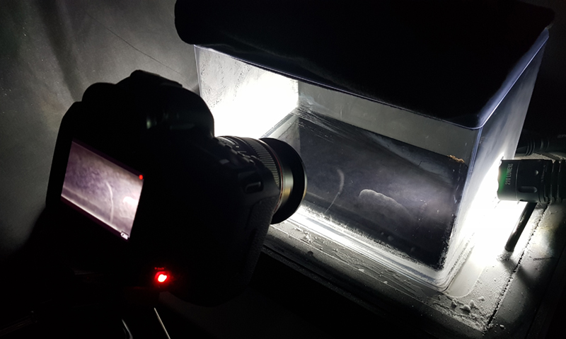 1803 filming cloud chamber (1)