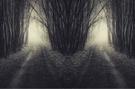 1804 crick crack club